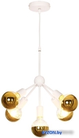 Подвесная люстра Lussole Kenner LSP-8268-G - фото