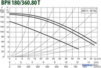 Циркуляционный насос DAB BPH 180/360.80 T - фото2
