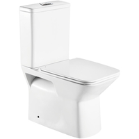 Унитаз WeltWasser Zinnbach 001 GL-WT - фото