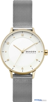 Наручные часы Skagen Riis SKW2912 - фото