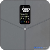 Напольные весы SecretDate Smart SD-IT02CG - фото