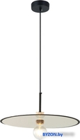 Подвесная люстра Lussole Butler LSP-8487 - фото