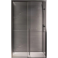 Душевая дверь Veconi 120x200 PTD30-GR-120-01-C4 (стекло прозрачное/брашированный графит) - фото