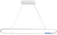 Подвесная люстра Ambrella Comfort FL5588 - фото2