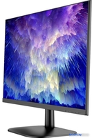 Монитор NPC MF240A - фото2