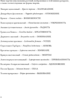 Книга издательства Попурри. Флоросфера. Вдохновение (Дарси Ч.) - фото2