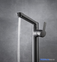 Смеситель Deante Arnika Titanium BQA D20K - фото2