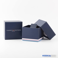 Наручные часы Tommy Hilfiger Ryan Le 1710530 - фото2