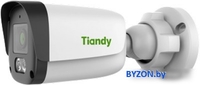 IP-камера Tiandy TC-C32QN I3/E/Y/4mm/V5.1 - фото
