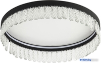 Припотолочная люстра LED4U L8030-500 BK - фото