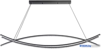 Подвесная люстра LED4U L8630-1200 BK - фото