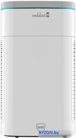 Очиститель воздуха Webber AP9800 - фото