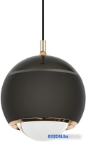 Подвесная люстра LED4U L8753-1 BK - фото