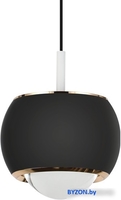 Подвесная люстра LED4U L8757-1 BK - фото