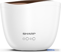 Увлажнитель воздуха Sharp DF-A1E-W - фото