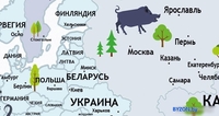 Фотообои ФабрикаФресок Детская карта с планетами 263270 (300x270) - фото2