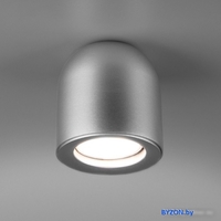 Спот Elektrostandard DLN116 GU10 (серебро) - фото