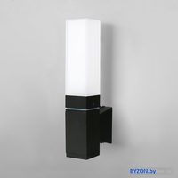 Уличный настенный светильник Elektrostandard 1534 Techno LED (черный) - фото