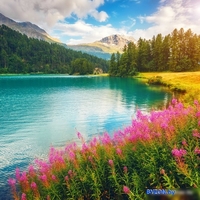 Алмазная мозаика Феникс+ Набор алмазной вышивки Цветение в горах 65548 - фото