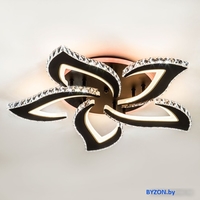 Припотолочная люстра LED4U L2839-5 BK - фото2