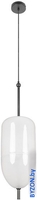 Подвесная люстра LOFT IT Venice 10223/B White - фото2