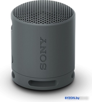 Беспроводная колонка Sony XB100 (черный) - фото