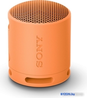 Беспроводная колонка Sony XB100 (оранжевый) - фото