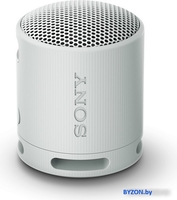 Беспроводная колонка Sony XB100 (светло-серый) - фото