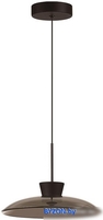 Подвесная люстра Odeon Light Saucer 5055/9L - фото