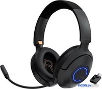 Наушники Creative Zen Hybrid Pro Classic - фото
