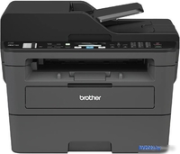 МФУ Brother MFC-L2710DW - фото