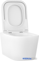 Унитаз подвесной Wellsee Graceful Pro RimFree 182601001 (чаша, пневмокрышка, глянцевый белый) - фото2