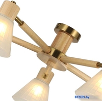 Люстра средней высоты Arte Lamp Meleph A4096PL-5BR - фото2
