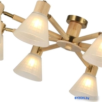 Люстра средней высоты Arte Lamp Meleph A4096PL-8BR - фото2