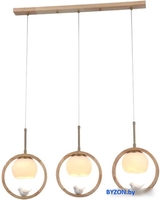 Подвесная люстра Arte Lamp Caprice A4182SP-3BR - фото