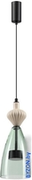 Подвесная люстра Odeon Light Palleta 5046/12LC - фото