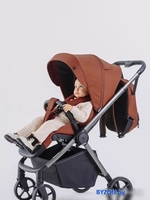 Коляска прогулочная «книга» Rant Golf RA101 (maroon brown) - фото2