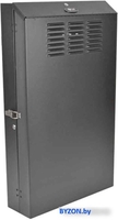 Шкаф серверный Tripp Lite SRWF6U36 - фото