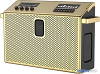 Беспроводная колонка Defunc Mondo BT Speaker Large (латунный) - фото