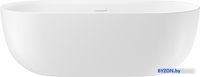 Ванна Wellsee Chic Riviera 170x76 236802002 (отдельностоящая ванна белый глянец, экран, ножки, сифон-автомат глянцевый белый) - фото
