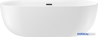 Ванна Wellsee Chic Riviera 170x76 236802003 (отдельностоящая ванна белый глянец, экран, ножки, сифон-автомат матовый черный) - фото