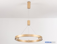 Подвесная люстра Ambrella Comfort FL5846 - фото