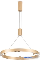 Подвесная люстра Ambrella Comfort FL5846 - фото2