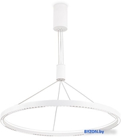 Подвесная люстра Ambrella Comfort FL5855 - фото2