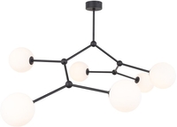 Подвесная люстра TK Lighting TKP4856 - фото