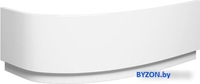 Фронтальный экран под ванну Riho Lyra 170x110x56.5 L 209274 P056N0500000000 - фото