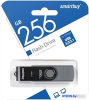 USB Flash SmartBuy Twist Dual 256GB (черный) - фото