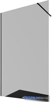 Душевая стенка Allen Brau Infinity 1 3.21016.BBA.T 323808 (черный браш) - фото