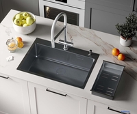 Кухонная мойка Roxen Simple 560220-70B PVD графит (с коландером и дозатором) - фото