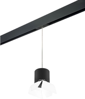 Трековый светильник Lightstar Rullo PRORP3487486 - фото